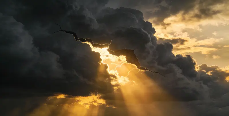 淄博肺癌8基因突变检测（组织）图片1