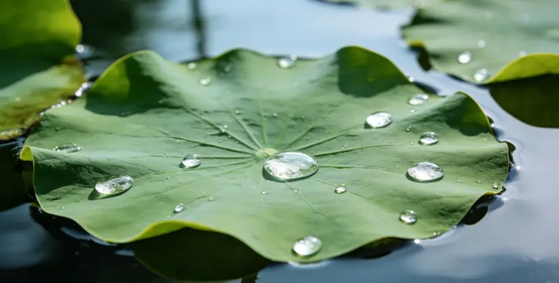 淄博乳腺癌21基因mRNA表达分析图片1