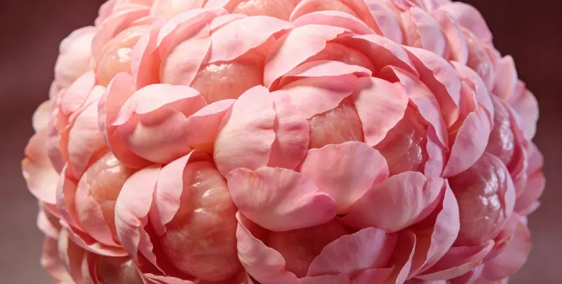 淄博BRCA1/2乳腺癌卵巢癌基因检测图片1